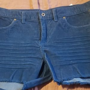 Carve Designs Ohua Shorts